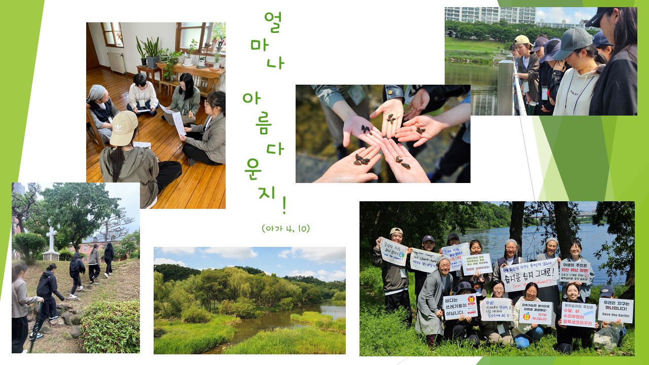 25년 봄피정